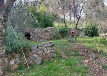 thumbnail_b3387ba1-ba68-46da-8073-821002a953fb.jpg - Rustico Via Caffaggio 10, Ameglia - foto 13