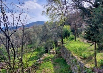 thumbnail_cf8f0ff1-04ac-4643-94fd-810f36f8a3a0.jpg - Rustico Via Caffaggio 10, Ameglia - foto 15