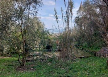 thumbnail_ea59fa5b-463d-483a-8437-7a7cf11d83fc.jpg - Rustico Via Caffaggio 10, Ameglia - foto 20