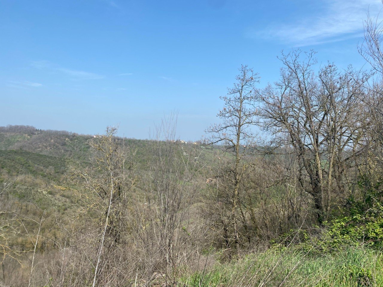 2.jpg - Agricultural land Miano, Medesano - photo 2