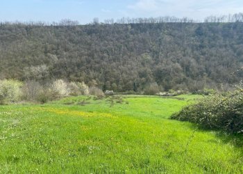 4.jpg - Terreno agricolo Miano, Medesano - foto 1