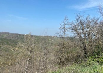 2.jpg - Terreno agricolo Miano, Medesano - foto 2