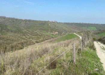 5.jpg - Terreno agricolo Miano, Medesano - foto 4