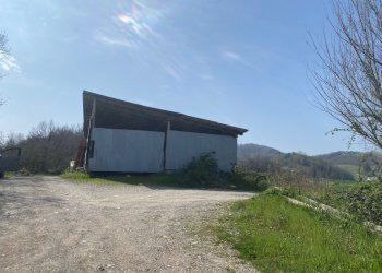 8.jpg - Terreno agricolo Miano, Medesano - foto 7