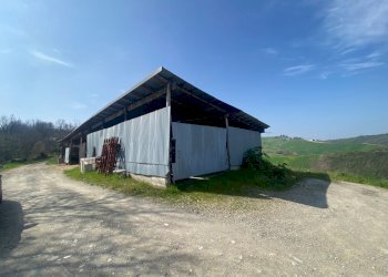 9.jpg - Terreno agricolo Miano, Medesano - foto 8