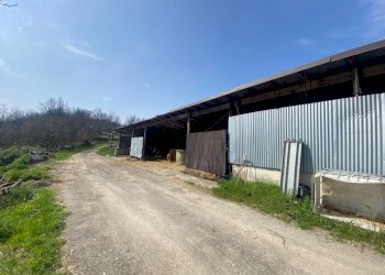 11.jpg - Terreno agricolo Miano, Medesano - foto 10