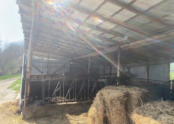 12.jpg - Terreno agricolo Miano, Medesano - foto 11