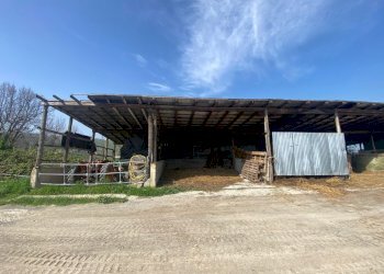 15.jpg - Terreno agricolo Miano, Medesano - foto 13