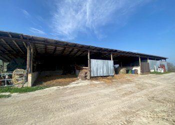 16.jpg - Terreno agricolo Miano, Medesano - foto 14