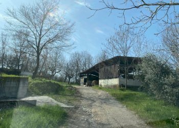 19.jpg - Terreno agricolo Miano, Medesano - foto 17