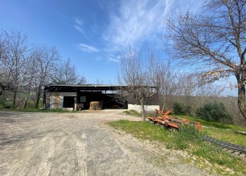 20.jpg - Terreno agricolo Miano, Medesano - foto 18