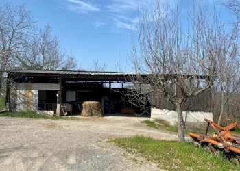 21.jpg - Terreno agricolo Miano, Medesano - foto 19