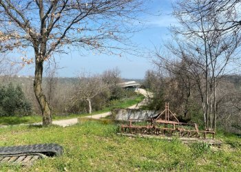 22.jpg - Terreno agricolo Miano, Medesano - foto 20