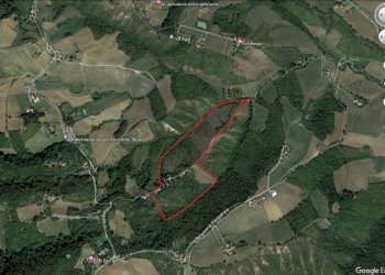 posizione.jpg - Terreno agricolo Miano, Medesano - foto 21