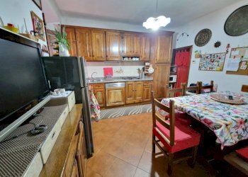 20240311_160838.jpg - Terratetto - Terracielo Via Sarzanese, Lucca - foto 4