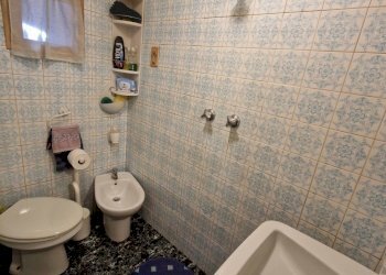 20240311_161020.jpg - Terratetto - Terracielo Via Sarzanese, Lucca - foto 10