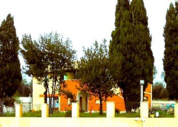 offida.jpg - Casa indipendente Offida - foto 13