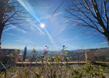 15 OFFIDA - CASOLARE MARCHIGIANO VISTA MARE E MONT - Casa indipendente Offida - foto 16