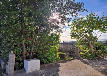 WhatsApp Image 2025-12-16 at 17.49.47A.jpeg - Townhouse Contrada da Cona 34, San Vito Chietino - photo 28