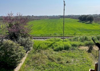 WhatsApp Image 2026-03-30 at 18.45.15 (3).jpeg - Terratetto - Terracielo Contrada da Cona 34, San Vito Chietino - foto 17