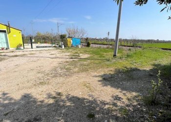 WhatsApp Image 2026-03-30 at 18.45.15 (11).jpeg - Terratetto - Terracielo Contrada da Cona 34, San Vito Chietino - foto 20