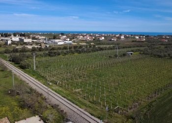 WhatsApp Image 2026-03-30 at 18.43.49.jpeg - Terratetto - Terracielo Contrada da Cona 29, San Vito Chietino - foto 4