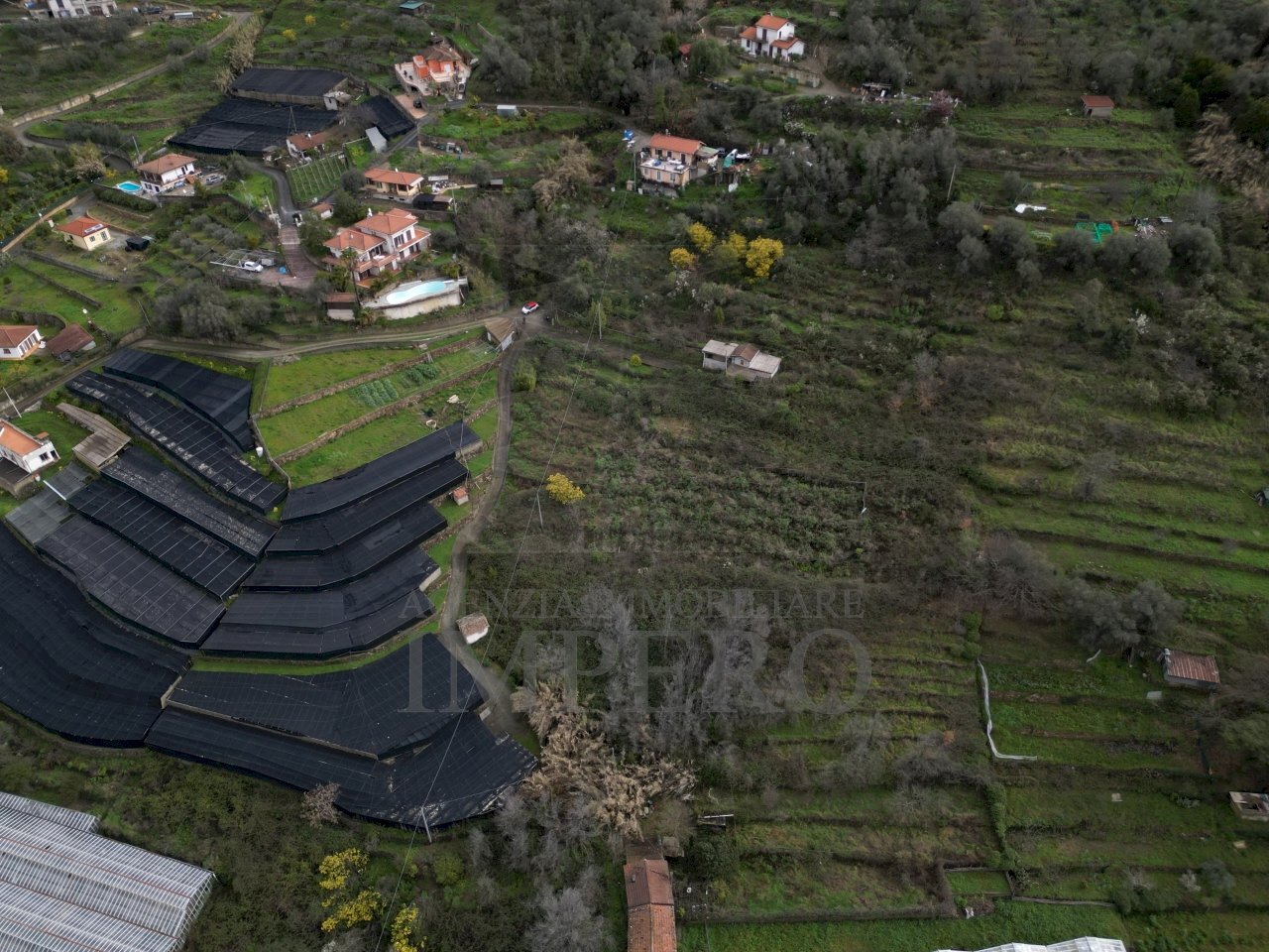 foto drone - Terreno agricolo SP59 39, Vallecrosia - foto 2