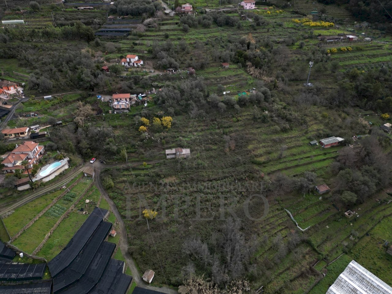 foto drone - Terreno agricolo SP59 39, Vallecrosia - foto 3