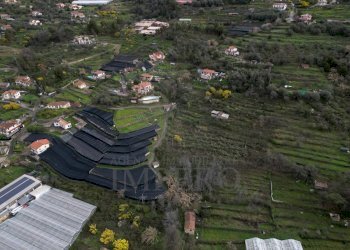 foto drone - Terreno agricolo SP59 39, Vallecrosia - foto 1