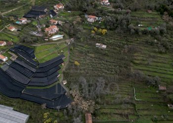 foto drone - Terreno agricolo SP59 39, Vallecrosia - foto 2