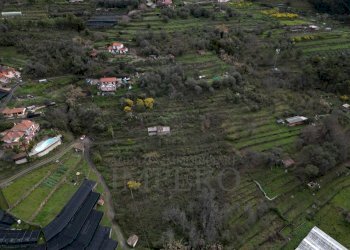 foto drone - Terreno agricolo SP59 39, Vallecrosia - foto 3