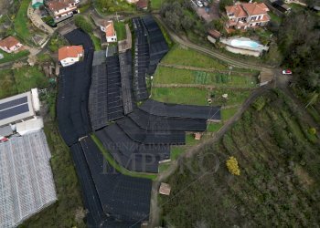 foto drone - Terreno agricolo SP59 39, Vallecrosia - foto 5