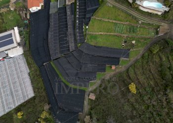 foto drone - Terreno agricolo SP59 39, Vallecrosia - foto 6