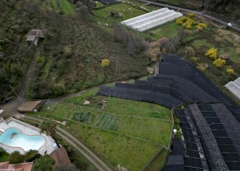 foto drone - Terreno agricolo SP59 39, Vallecrosia - foto 7