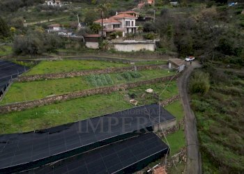foto drone - Terreno agricolo SP59 39, Vallecrosia - foto 10