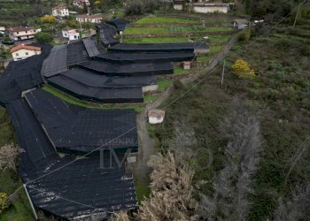 foto drone - Terreno agricolo SP59 39, Vallecrosia - foto 11