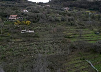 foto drone - Terreno agricolo SP59 39, Vallecrosia - foto 12