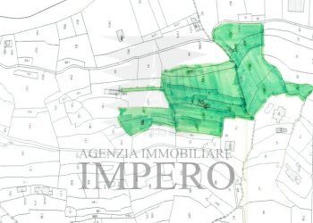 mappa - Terreno agricolo SP59 39, Vallecrosia - foto 13
