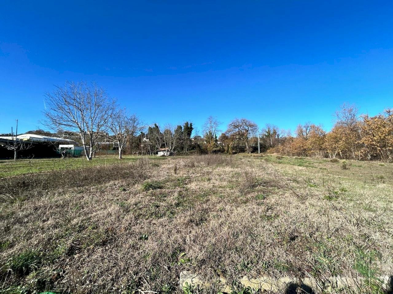 WhatsApp Image 2024-03-21 at 11.07.00.jpeg - Terreno agricolo Viale Maiella 23/A, Torrevecchia Teatina - foto 1