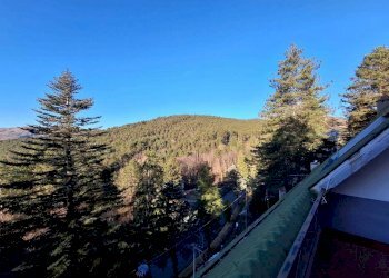 WhatsApp Image 2024-01-29 at 15.46.03 (5).jpeg - Appartamento Rocchetta di Vara - foto 4