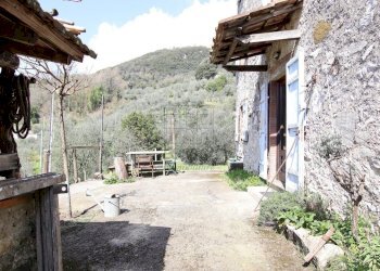 vendesi casa colonica colline lucchesi IMG_0420.JP - Casale Strada Comunale di Valdottavo, valdottavo 32, Borgo a Mozzano - foto 4