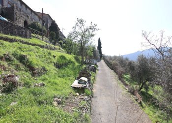 vendesi casa colonica colline lucchesi IMG_0395.JP - Casale Strada Comunale di Valdottavo, valdottavo 32, Borgo a Mozzano - foto 15