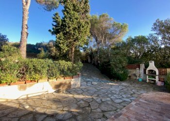 IMG_1753 (FILEminimizer).jpg - Villa Via Tevere, Rosignano Marittimo - foto 15