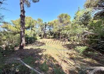 photo_17_2026-06-12_17-42-43 - Villa Via Tevere, Rosignano Marittimo - photo 25