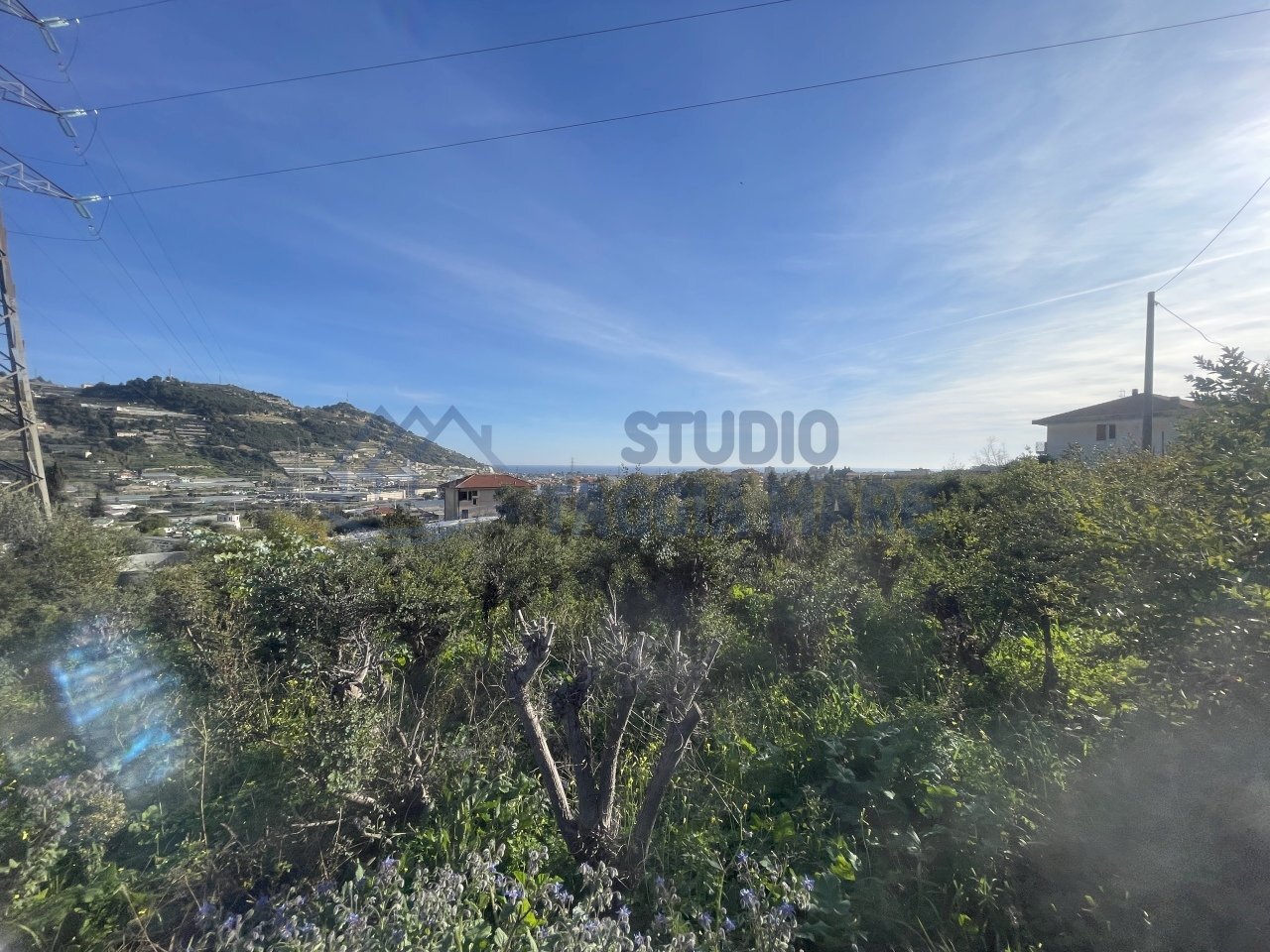 IMG_0900.JPG - Agricultural land Taggia - photo 1