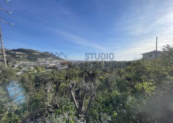 IMG_0900.JPG - Agricultural land Taggia - photo 1