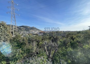 IMG_0901.JPG - Agricultural land Taggia - photo 2