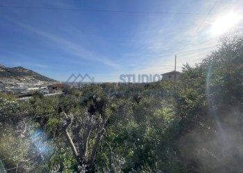 IMG_0902.JPG - Agricultural land Taggia - photo 3