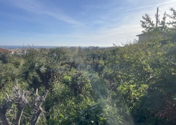 IMG_0904.JPG - Agricultural land Taggia - photo 5