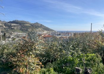 IMG_0905.JPG - Agricultural land Taggia - photo 6